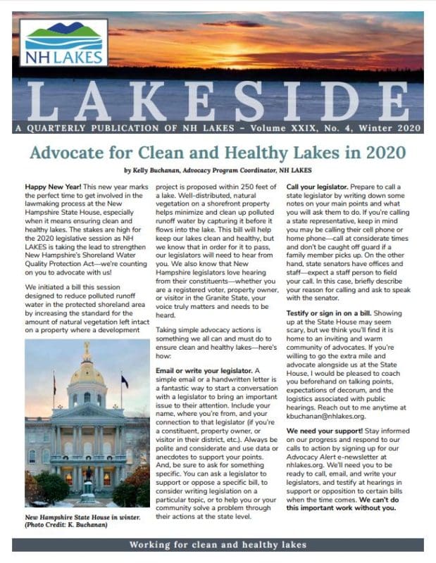 2020 Winter Lakeside