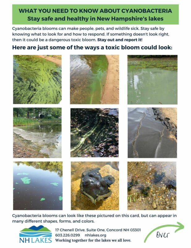 Image of the various ways Cyanobacteria blooms may appear.