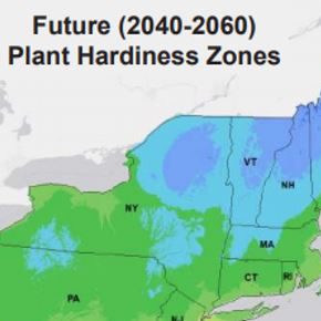 Climate Smart Native Plants