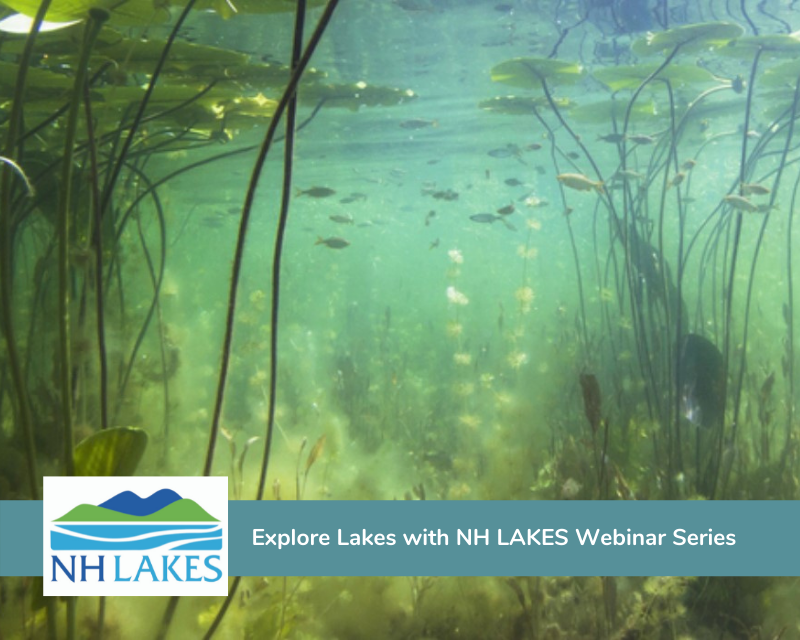 Webinar series