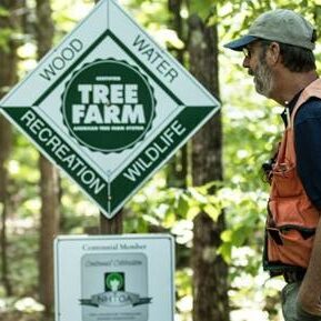 County Forester