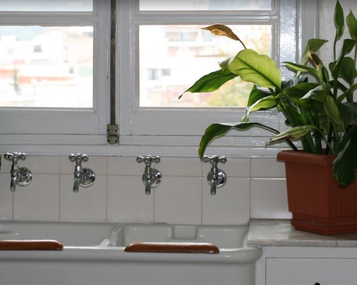 Inside the Home and Septic Cropped