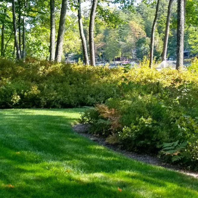 Lake Friendly Lawn Care