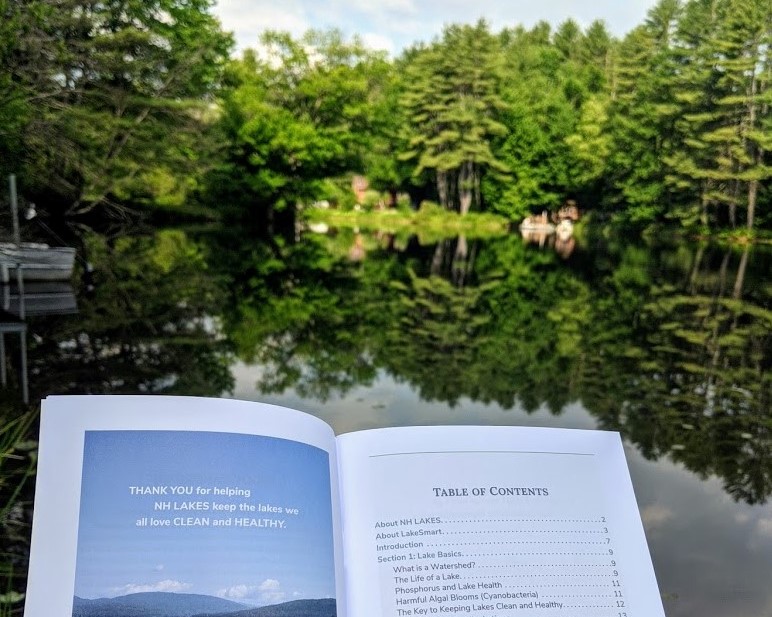 LakeSmart Book
