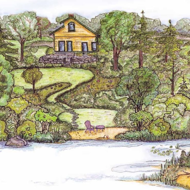 Landscaping at the Water’s Edge