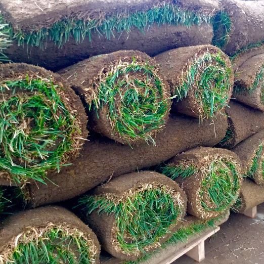 Sod and Turf 