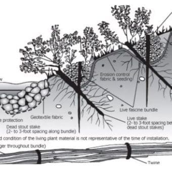 Natural Erosion Prevention Techniques
