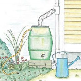 Rain Barrel