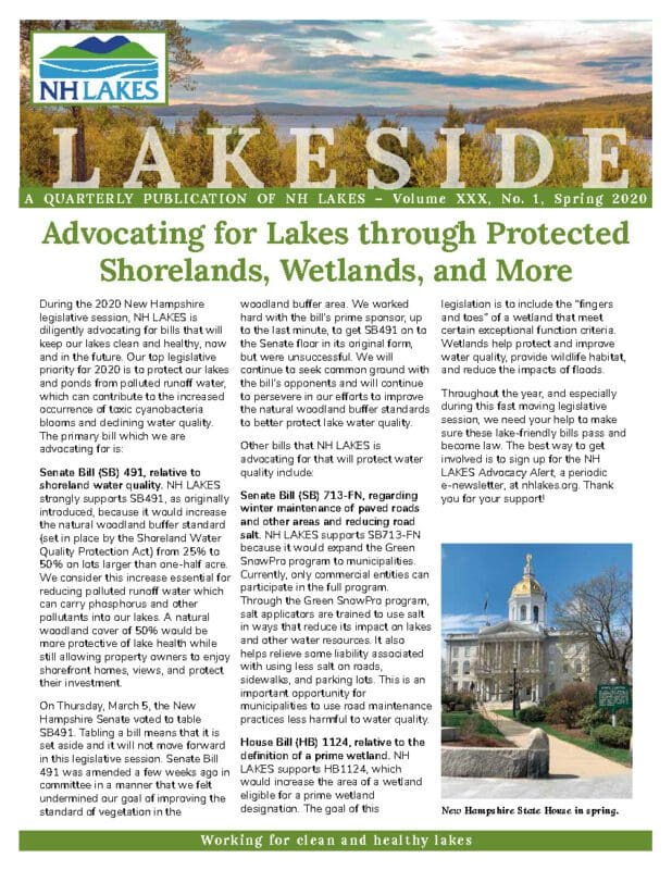 NH LAKES Spring 2020 Lakeside Newsletter