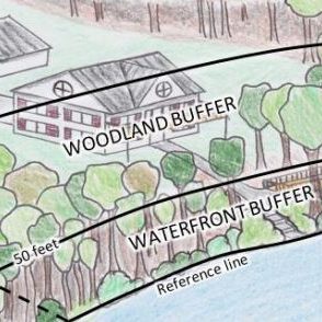 Vegetation Management for Water Quality 