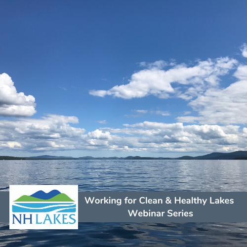 Working for Clean Healthy Lakes Webinar Series