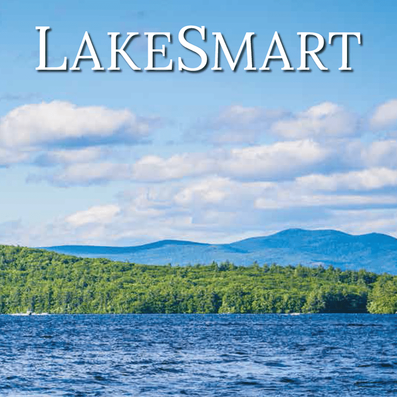 nh lakes lakesmart book 2019