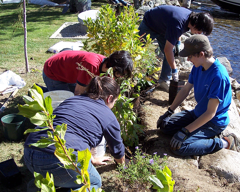 People planting vegetation on the edge of a New Hampshire lake